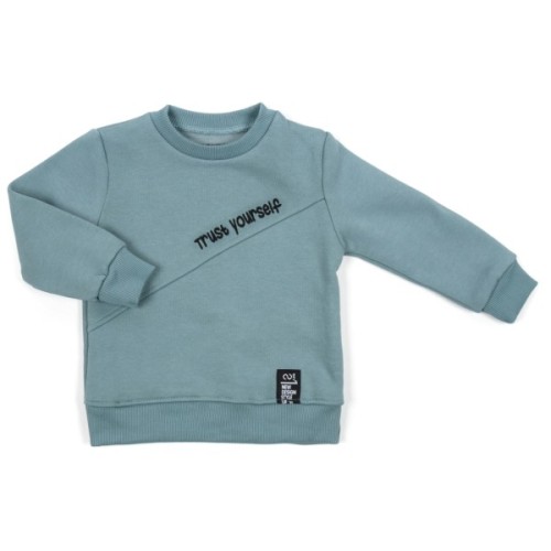 Спортивний костюм дитячий Toontoy флісовий (24315-110B-mint)