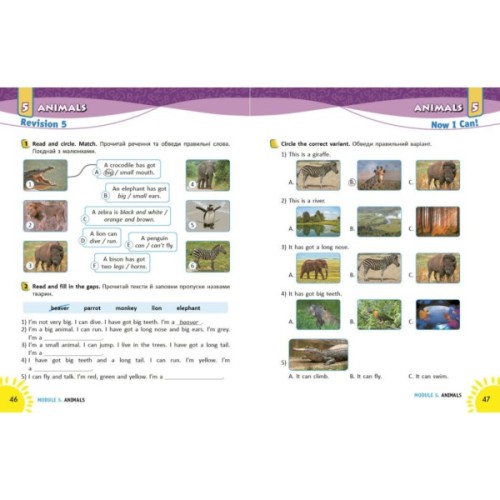 Робочий зошит НУШ Англійська мова. 2 клас. Із прописами. До підруч. Г. К. Мітчелла - Лана Грейс Ранок (9786177048410)