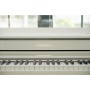 Цифрове піаніно Casio AP-S450WE (363172)