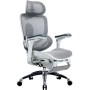 Офісне крісло Sihoo C300 PRO V2, White, з підставкою для ног (C300-PRO-V2-B102-JT)