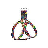 Шлея для собак WAUDOG Nylon з QR паспортом анатомічна "Вітраж" L (4608)