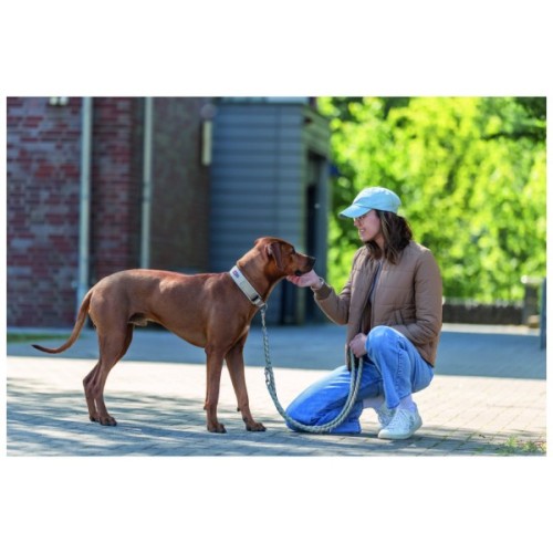 Нашийник для тварин Trixie Premium екстраширокий L 46-55 см 50 мм пісочно-сірий (4053032677531)