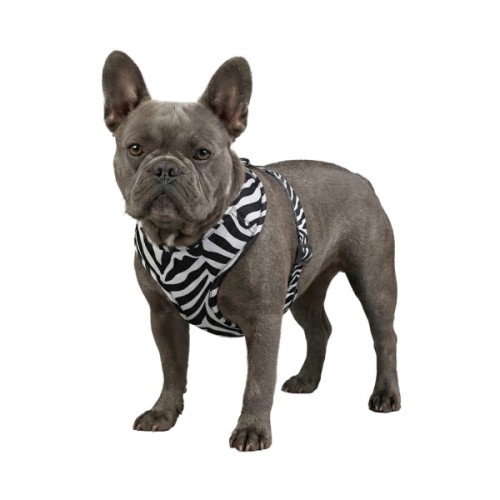 Шлея для собак WAUDOG Mesh дихаюча з QR адресником "Зебра" L (235-0055)