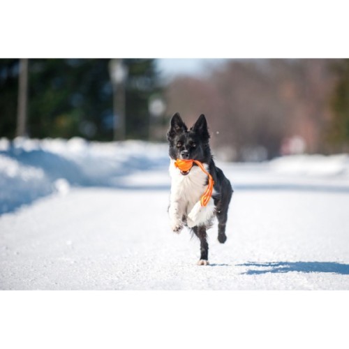 Іграшка для собак Liker Line М'ячик зі стрічкою 9 см (6288)