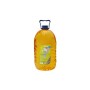 Омивач автомобільний VITOL "-12" Диня 5л (VTW-1251)