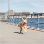 Іграшка для собак Trixie Лобстер 34 см (4011905858258)
