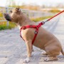 Шлея для собак WAUDOG Waterproof з QR-паспортом М Ш 20 мм Д 50-80 см червона (27653)