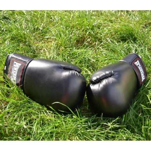 Боксерські рукавички PowerPlay 3004 Classic Чорні 6 унцій (PP_3004_6oz_Black)