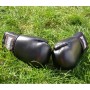 Боксерські рукавички PowerPlay 3004 Classic Чорні 6 унцій (PP_3004_6oz_Black)