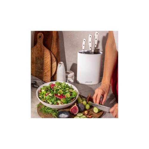 Набір ножів Arcos серія "Riviera White" 5 предметів (235024)