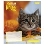 Зошит 1 вересня Bliss А5 12 аркушів лінія (768052)
