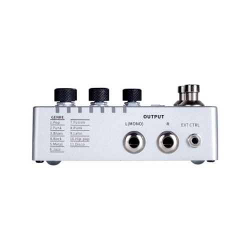 Педаль ефектів Mooer Groove Loop X2