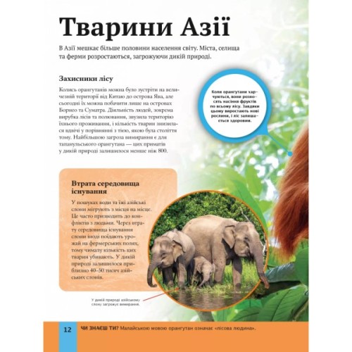 Книга Дитяча енциклопедія довкілля Vivat (9786171704831)