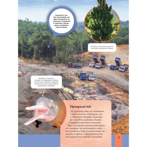 Книга Дитяча енциклопедія довкілля Vivat (9786171704831)