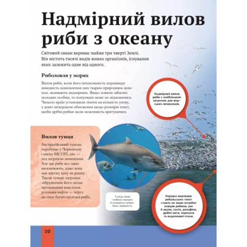 Книга Дитяча енциклопедія довкілля Vivat (9786171704831)