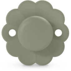 Пустушка Suavinex Wonder фізіологічна, 6-18 місяців, зелена (308392)