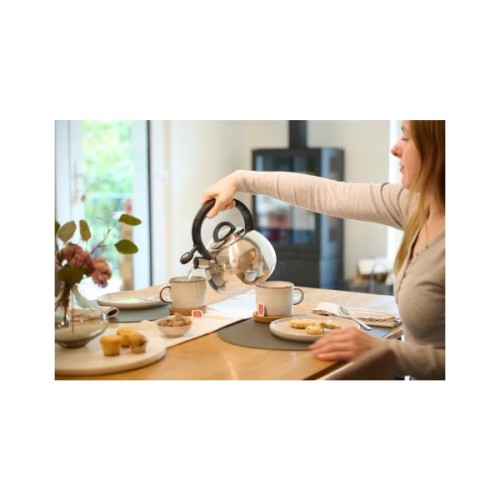 Чайник Tefal Duetto+ 2.5 л сталевий, чорний (N4180310)