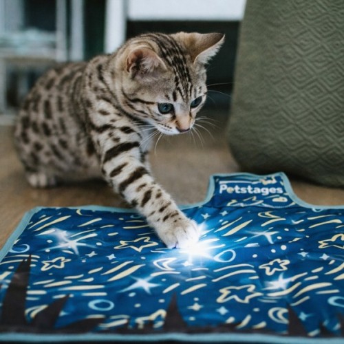 Іграшка для котів Catstages Килимок з підсвіткою 43x28 см (0700603680462)