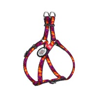 Шлея для котів WAUDOG Nylon з QR паспортом "Куби 3Д" пластиковий фастекс XS (319-4057)