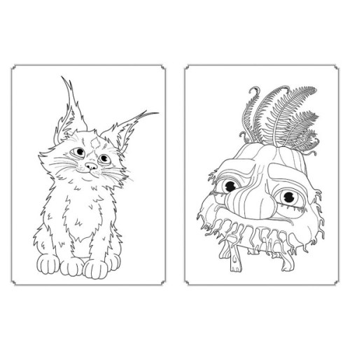 Книга Мавка. Магія кольору. Хранителька Лісу Ранок (9789667513283)