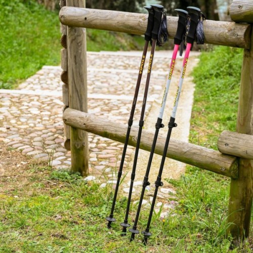 Трекінгові палиці Vipole Trekker Violet (S25 11) (DAS303452)