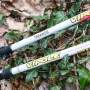 Трекінгові палиці Vipole Trekker Violet (S25 11) (DAS303452)