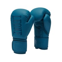 Боксерські рукавички Leone GN058 Tone X Teal 10 oz (GN058_Teal_10oz)