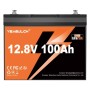 Батарея LiFePo4 YEAGULCH 12.8V - 100Ah (YEAGULCH-12,8V/100Ah)
