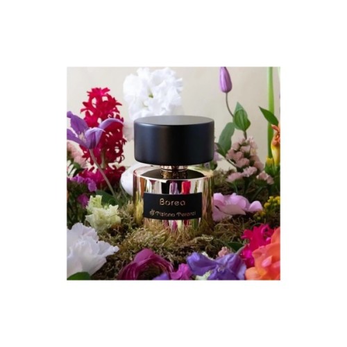 Парфуми Tiziana Terenzi Borea 100 мл (8016741762581)