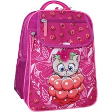 Рюкзак шкільний Bagland Відмінник 20 л. 143 малина 899 (0058070) (418214845)