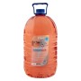 Омивач автомобільний VITOL Дюшес 5л (VV-52)