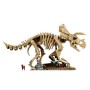 Конструктор LEGO Jurassic Park Скам'янілості динозаврів: Трицератопс (77985)