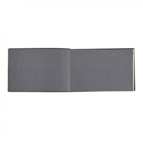 Тижневик Leo planner датований 2025 Apiro 10х15 см 128 сторінок (252571)