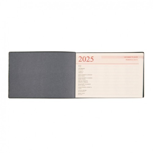 Тижневик Leo planner датований 2025 Apiro 10х15 см 128 сторінок (252571)