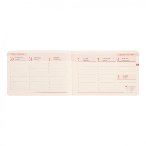 Тижневик Leo planner датований 2025 Apiro 10х15 см 128 сторінок (252571)