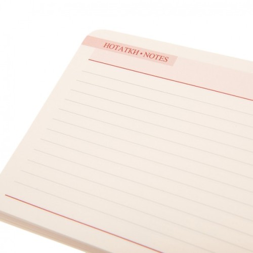 Тижневик Leo planner датований 2025 Apiro 10х15 см 128 сторінок (252571)