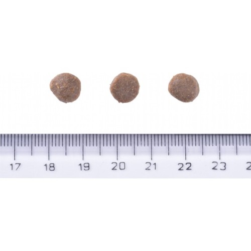 Сухий корм для собак Brit Care Dog Grain-free Puppy беззерновий з лососем 3 кг (8595602558810)