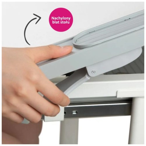 Парта зі стільцем FunDesk Littonia Grey (222529)