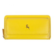 Гаманець Ashwood J54 Aurora