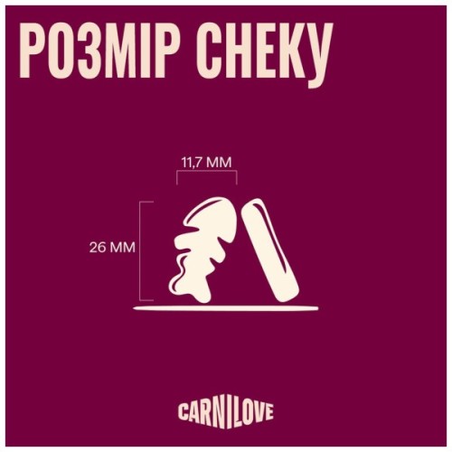 Ласощі для собак Carnilove Soft Snack Trout with Dill 200 г (8595602582631)
