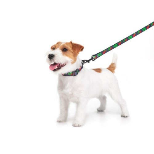 Повідець для собак WAUDOG Nylon "Калина" L-XXL Ш 25 мм (4925-0228)