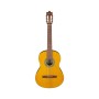 Гітара класична Ibanez GA3-OAM (236053)