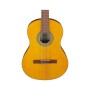 Гітара класична Ibanez GA3-OAM (236053)