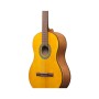 Гітара класична Ibanez GA3-OAM (236053)