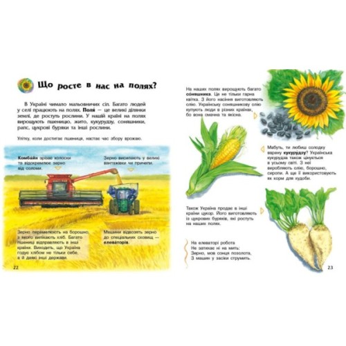 Книга Енциклопедія дошкільника. Україна - Юлія Каспарова Ранок (9786170999948)