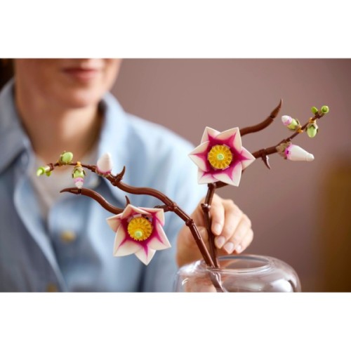 Конструктор LEGO Botanicals Magnolia Branches (11510)