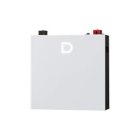 Батарея LiFePo4 Dyness DL5.0C Pro 51.2V - 100Ah (DL5.0C Pro)