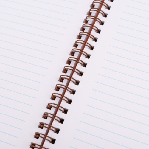 Зошит Yes А5 Line Friends. Sally пластикова обкладинка 80 аркушів, лінія (765736)