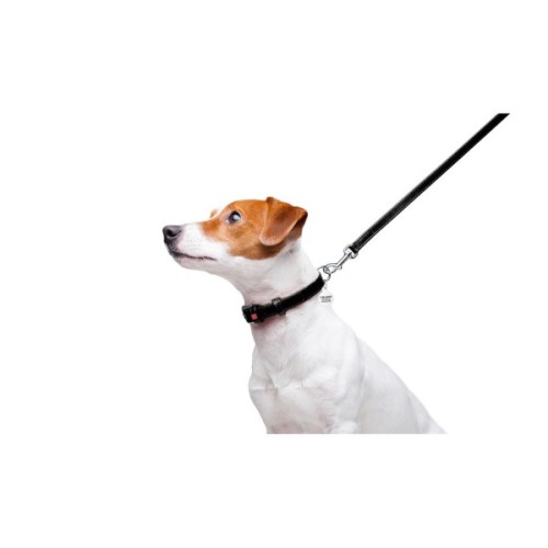 Повідець для собак WAUDOG Glamour шкіряний XS чорний (33721)