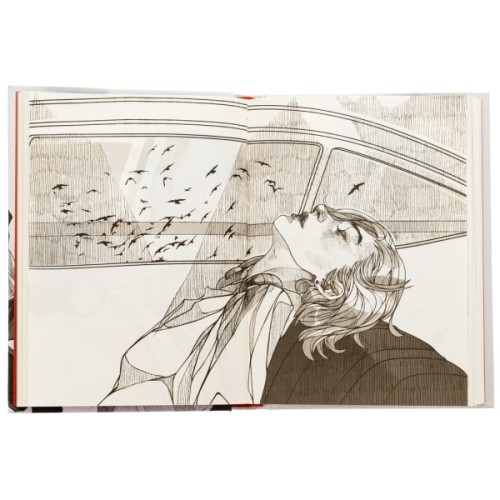 Книга Незручні. Відчайдушні. Виродки - Ольга Войтенко Видавництво Старого Лева (9789664481905)